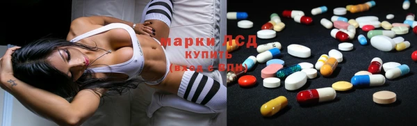 стафф Арсеньев