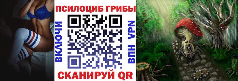 Псилоцибиновые грибы Psilocybine cubensis  мега зеркало  Коломна  закладка 