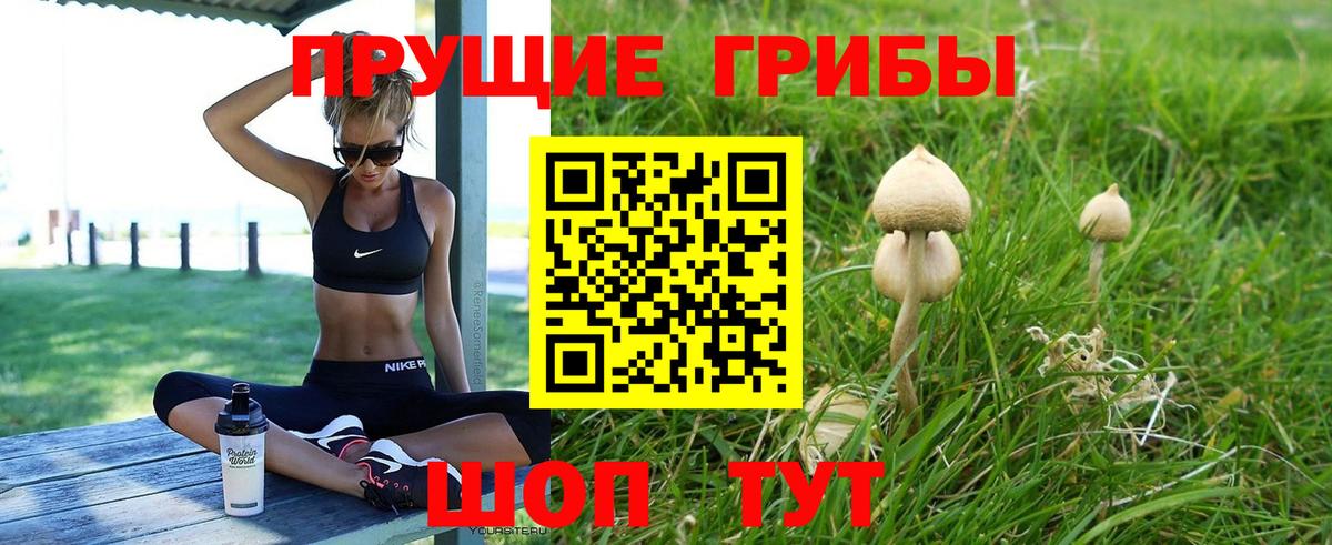 Коломна  Псилоцибиновые грибы MAGIC MUSHROOMS  Вход с VPN 